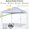 10' x 10' Pop Up Canopy Tent 2-Tier Outdoor Instant Folding Shelter Canopy with Center Lock & Wheeled Carry Bag