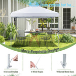 10' x 10' Pop Up Canopy Tent 2-Tier Outdoor Instant Folding Shelter Canopy with Center Lock & Wheeled Carry Bag