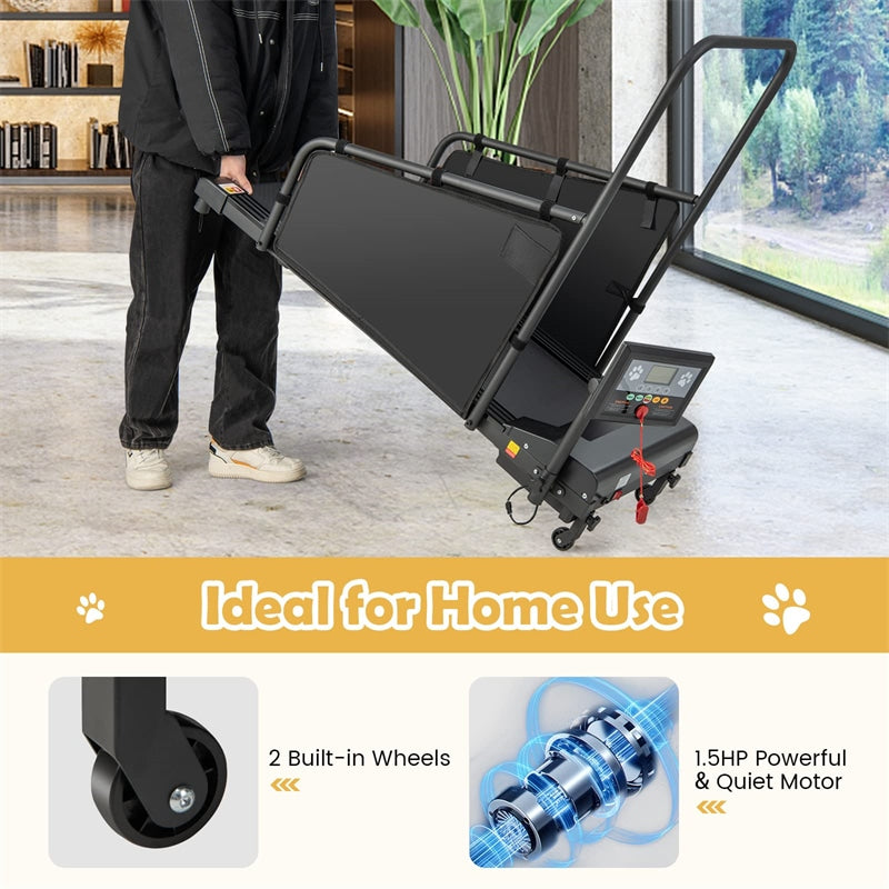 Shop Best Dog Treadmills at Bestoutdor - Now with 10% Coupon & Free Shipping