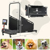 Shop Best Dog Treadmills at Bestoutdor - Now with 10% Coupon & Free Shipping