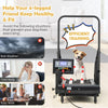 Shop Best Dog Treadmills at Bestoutdor - Now with 10% Coupon & Free Shipping