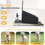 Shop Best Dog Treadmills at Bestoutdor - Now with 10% Coupon & Free Shipping