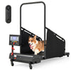 Shop Best Dog Treadmills at Bestoutdor - Now with 10% Coupon & Free Shipping