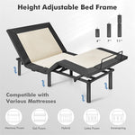 Twin XL Adjustable Bed Base Zero Gravity Electric Bed Frame with Massage Mode & Remote