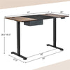 Electric Standing Desk 55" x 28" Height Adjustable Desk Sit-Stand Computer Workstation with Storage Drawer & USB Charging Port