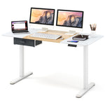 Electric Standing Desk 55" x 28" Height Adjustable Desk Sit-Stand Computer Workstation with Storage Drawer & USB Charging Port