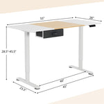 Electric Standing Desk 55" x 28" Height Adjustable Desk Sit-Stand Computer Workstation with Storage Drawer & USB Charging Port