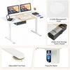 Electric Standing Desk 55" x 28" Height Adjustable Desk Sit-Stand Computer Workstation with Storage Drawer & USB Charging Port