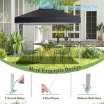 10' x 10' Pop Up Canopy Tent 2-Tier Outdoor Instant Folding Shelter Canopy with Center Lock & Wheeled Carry Bag