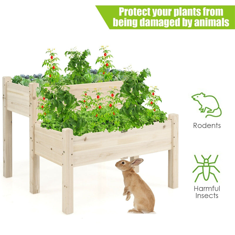 2-Level Wooden Raised Garden Bed Elevated Planter Box with Legs and Drain Holes