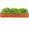 Wooden Raised Garden Bed Wall Mounted Window Box Planter Flower Vegetable Planter