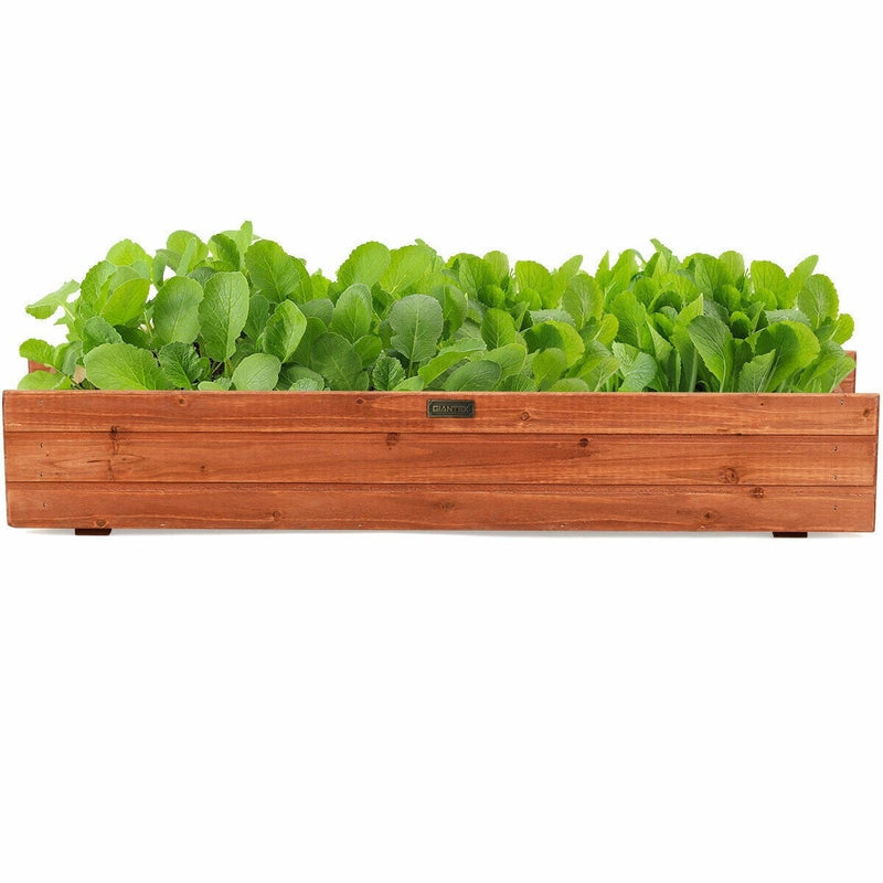 Wooden Raised Garden Bed Wall Mounted Window Box Planter Flower Vegetable Planter