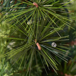 3FT LED Christmas Entrance Tree with Red Berries Pine Cones