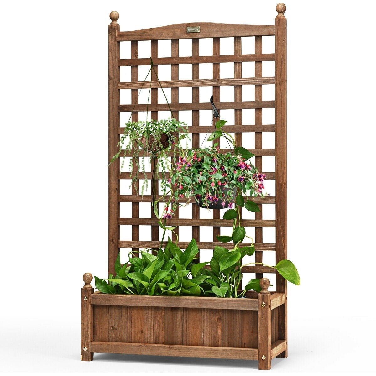 Freestanding Solid Wood Trellis with Planter Box, 50"H Vertical Raised Garden Bed Trellis for Climbing Vegetables Plants